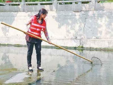 河南42歲女河道工考上研究生 將考慮攻讀博士1