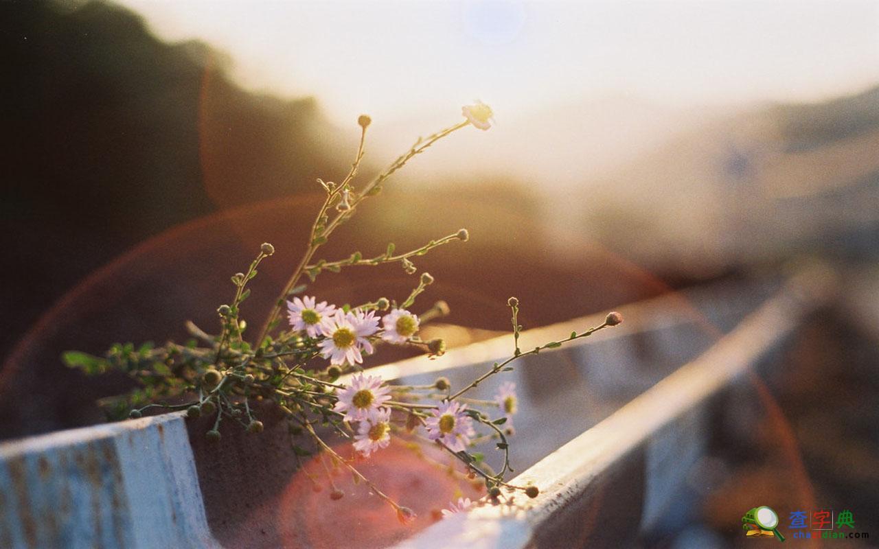 2016研招咨詢活動舉辦時間地點通知1