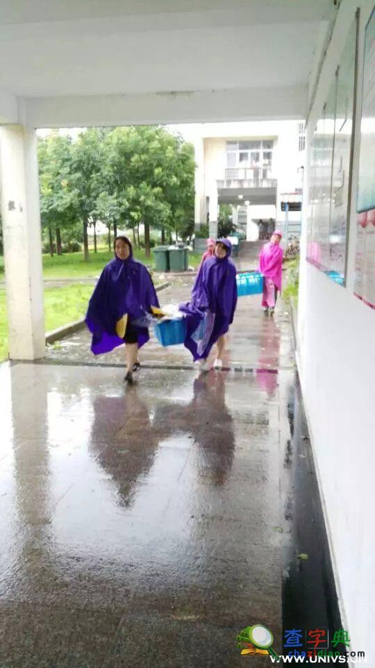 臺風“燦鴻”入舟山 東科暖心舉措獲贊2