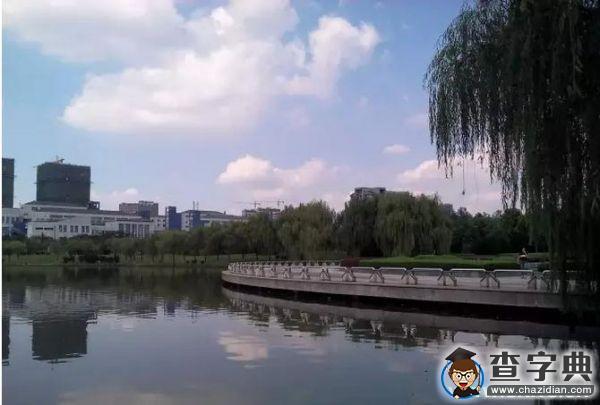 方師兄:堅守微家園,耕耘斛兵情!1