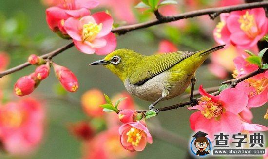 濰坊學院:今天,你感恩了嗎?2