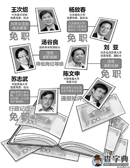 長微博舉報:王次炤為女兒搞奢華婚禮1