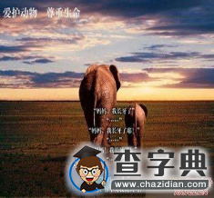 2016考研英語:英語一作文預測(大作文)5