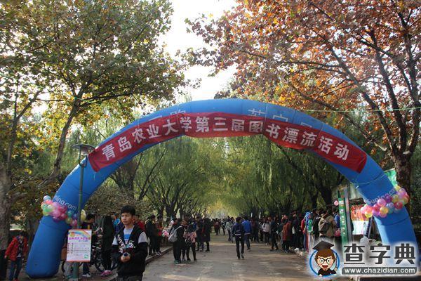 “星座漂流 書香遠溢”校園圖書漂流活動順利舉行1