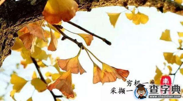 石大版《南山南》,把石大唱給你聽!7