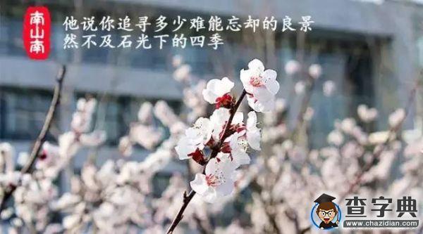 石大版《南山南》,把石大唱給你聽!15