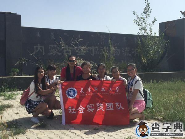 聚焦物流 魅力青城3