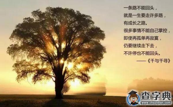 上大學后 竟然變了這么多16