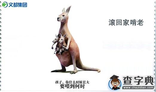 那年畢業,是誰的6