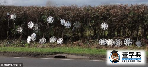 英國最崎嶇路面:一上午顛飛20多個車輪罩(圖)2