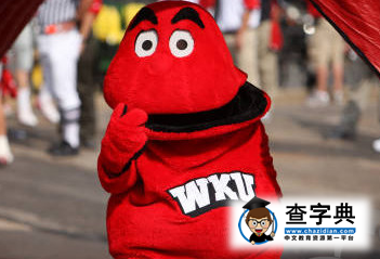 華盛頓州立大學吉祥物——美洲獅7