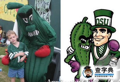 華盛頓州立大學吉祥物——美洲獅6