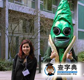 華盛頓州立大學吉祥物——美洲獅8