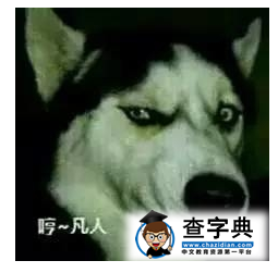 留學生們最不喜歡被問到的問題,我想靜靜!1