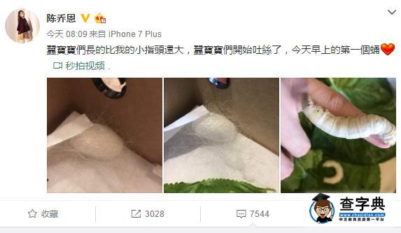 陳喬恩還有這特殊癖好 養蠶放手上 網友:你開心就好3