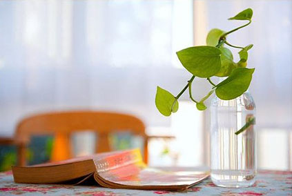 福州研究生考研班淺談適合晚上的考研復習內容2